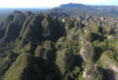Pemprov Kaltim Dorong Geopark Sangkulirang-Mangkalihat Tembus Pengakuan Internasional