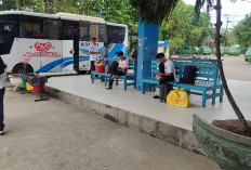 Terminal Sungai Kunjang Siapkan 70 Bus per Hari Jelang Lebaran 