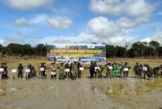 Kutim Targetkan Cetak 20 Ribu Hektar Sawah untuk Dukung Gerakan Tanam Padi Nasional