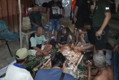 Ubah Warung Jadi 'Mini Kasino', 4 Penjudi di Paser Ditangkap Polisi