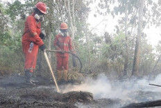 Karhutla Kaltim Berulang, Dishut Soroti Pembukaan Lahan dengan Cara Dibakar