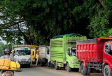 BPH Migas Disebut Sepakat Tambah Kuota Solar di Balikpapan, DPRD: Jangan Sampai Sopir Menginap di SPBU 