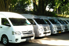 BBM Naik, Pengusaha Jasa Travel di Kota Bontang Tak Menaikkan Tarif