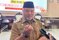 Pemangkasan Produksi Batubara 2026 Ancam PAD Berau, Pemkab Mulai Dorong Pergeseran Sumber Pendapatan