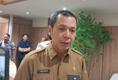 Fender Jembatan Mahulu belum Bisa Dipasang, PUPR Kaltim Target Perbaikan 3–4 Bulan