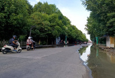 Jalan Layang Bontang Kuala Belum Diakomodir APBN 2026, Pemkot Siapkan Skema Trotoar Darurat