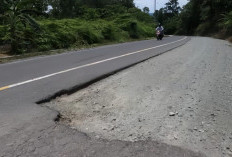 Rentetan Kecelakaan Lalu Lintas di Jalan Teluk Bayur–Labanan Berau, BBPJN Sebut Perbaikan Menunggu Kontrak