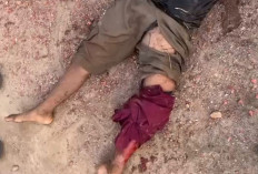 Ambil Layangan Putus di Sungai, Anak 13 Tahun Diterkam Buaya di Dermaga Kenyamukan