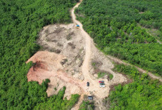 Enklave di Tengah TNK Disorot, Perambahan Hutan dan Galian C Mulai Marak