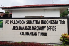 Status Digantung, Pekerja PT Lonsum Kedang Makmur Mengadu