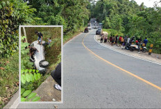 Kecelakaan Mobil dan Motor di Jalan Poros Samboja-Sepaku, 7 Orang Terluka