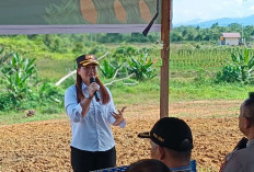 Solusi Tantangan Fiskal Daerah, Ketua DPRD Mahulu Minta Pemerintah Maksimalkan Pengembangan Sektor Pertanian 