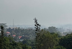 Ramalan Cuaca Kaltim dan IKN, 3 Oktober 2026, Cek di Sini!