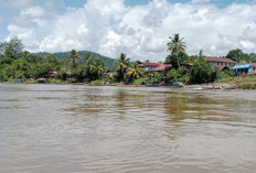 Masuknya Investasi dari Luar Jadi Ancaman Pelestarian Hutan di Mahulu