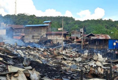 Kebakaran Hebat di Batu Ampar Hanguskan Puluhan Rumah, Disdamkartan Kutim Ungkap Penyebab Sementara