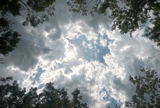 Ramalan Cuaca Kaltim dan IKN, 14 Februari 2026, Cek di Sini!