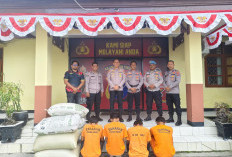 Polisi Ringkus Komplotan Pencuri Padi dan Pupuk di PPU, Empat Pelaku Tak Berkutik 