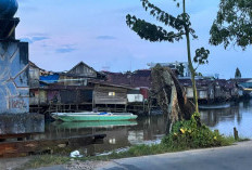 Hari Toilet Sedunia (Bagian 1): Kedengaran Lucu, Tapi Kaltim Masih Punya PR Besar soal Sanitasi Aman