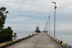 Kuncinya Sekarang di Kemenhub, Pemkab Kutim Harap KEK Maloy Segera Beroperasi