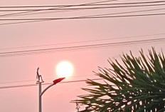Ramalan Cuaca Kaltim dan IKN, 22 Oktober 2026, Suhu Maksimum Capai 33 Derajat Celcius!