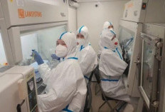 Pekerja Laboratorium di Rusia Tewas Akibat Pneumonia Misterius, WHO Ungkap Tak Ada Bukti Wabah Pes Pneumonik