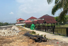 Serapan APBD PPU Triwulan III 2026 Tembus 61,60 Persen