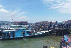 Pelabuhan Klotok PPU Dikuasai Swasta, Potensi PAD hingga Rp200 Juta per Tahun Menguap