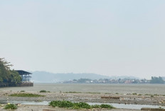Ramalan Cuaca Kaltim dan IKN, 29 September 2026, Cek di Sini!