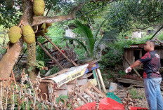 Warga Sikka Ditemukan Gantung Diri di Balikpapan, Hasil Forensik Tak Temukan Tanda Kekerasan