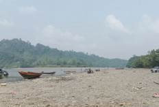 Bukan Hanya Hambat Logistik, Kemarau Panjang Berdampak pada Pertanian di Mahulu
