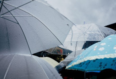 Ramalan Cuaca Kaltim dan IKN, 27 Desember 2025, Cek di Sini!