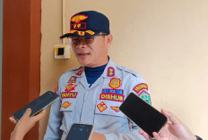 Wacana Kenaikan Tarif Travel, Dishub Mahulu Tegaskan Belum Terima Usulan Resmi 