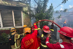 Empat Rumah Hangus dan 25 Warga Terdampak Kebakaran di Karang Jati Balikpapan