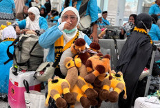 Sudah 62 Persen Jamaah Haji Indonesia Sudah Pulang ke Tanah Air , 86.592 Jamaah Bergerak ke Madinah