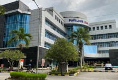 Atasi Kekurangan Tenaga Medis, Pemprov Kaltim Sebar 24 Dokter Spesialis ke Daerah