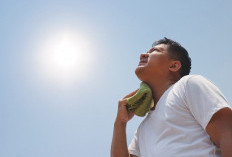 Cuaca Panas Melanda Samarinda, Dinkes Ingatkan Bahaya Heat Stroke 