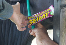 Pengawasan Hewan Kurban Diperketat, DTPHP Kutim Tempelkan Stiker Khusus 