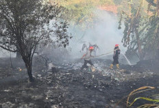 Presiden Aljazair Perintahkan Hukuman Mati bagi Pelaku Pembakaran Hutan