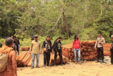Masyarakat Dayak Basap Karangan Bersatu Lindungi Hutan Adat, Gerebek Lokasi Illegal Logging