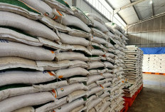 DKP Paser Tekan Biaya Operasional dalam Penyaluran Bantuan Desa Rawan Pangan 
