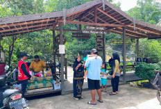 Desa Wisata Klempang Sari Paser Juara Tingkat Kaltim, Siap Wakili ke Lomba Nasional