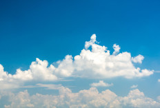 Ramalan Cuaca Kaltim dan IKN, 25 Maret 2026, Cek di Sini!