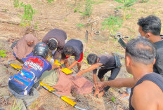 Bakar Lahan, Lansia di Samarinda Terjebak Api dan Ikut Terbakar