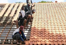  Arsitek Kaltim Tanggapi Wacana Presiden Ganti Atap Rumah Seng dengan Genteng 