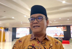 80 Persen Pangan Masih Dipasok dari Luar, Balikpapan Mulai Andalkan Sawah Gunung Binjai