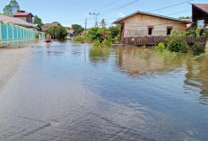 Banjir Kiriman dari Hulu Mahakam Rendam Permukiman di Kutai Barat, Warga Mulai Amankan Barang-barang
