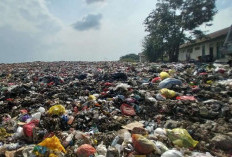Sampah Rumah Tangga Mendominasi DLHK Minta Warga Lakukan Pemilahan  