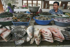Pemkot Samarinda Segera Bahas Penambahan Kapasitas Listrik Pedagang Ikan Pasar Pagi