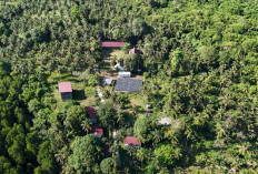 Bukan Gara-Gara Petir, Pemkab Kutim Ungkap Penyebab Rusaknya PLTS Desa Pulau Miang 