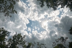 Ramalan Cuaca Kaltim dan IKN, 16 Desember 2025, Cek di Sini!